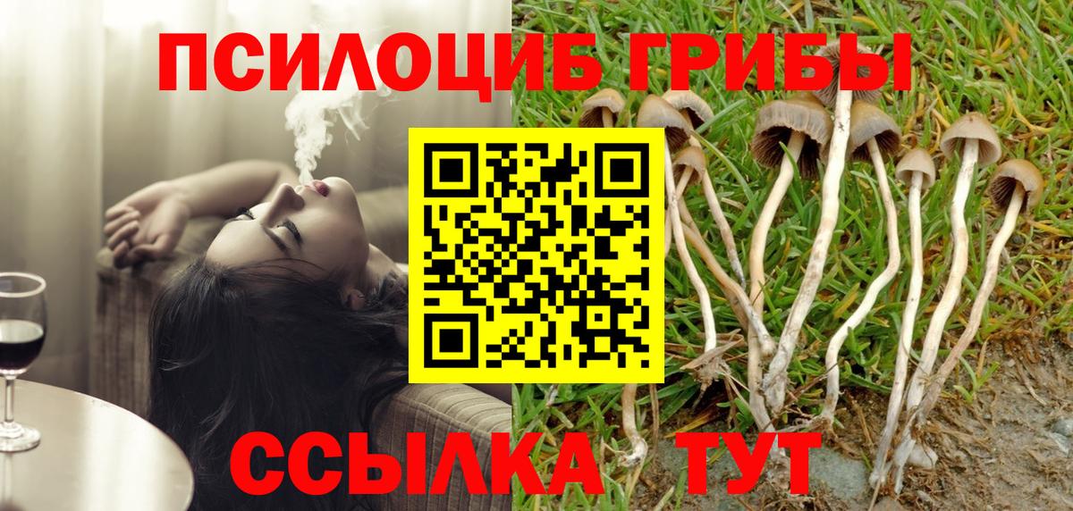 Галлюциногенные грибы GOLDEN TEACHER Муром